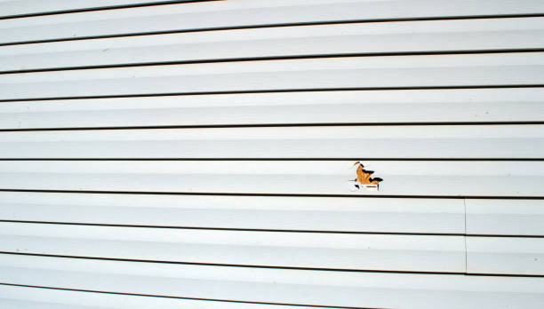 Best Shed Removal  in Morristown, TN